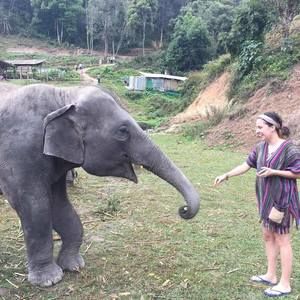 Meet your Posher, Taylor